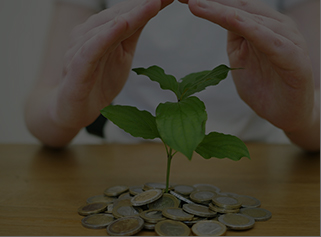 Create Wealth