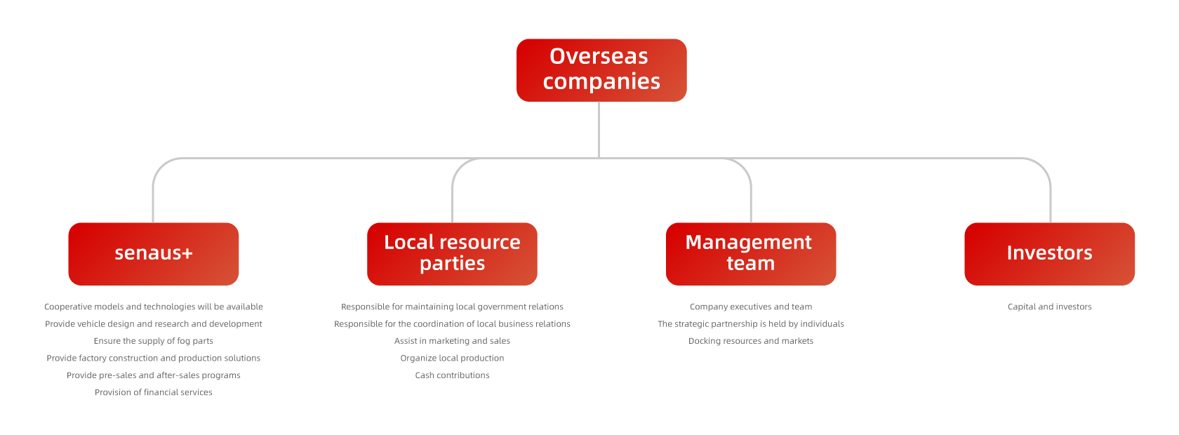 Overseas company structure
